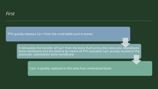 First
PTH quickly releases Ca++ from the small labile pool in bones
It stimulates the transfer of Ca2+ from the bone fluid across the osteocytic-osteoblastic
bone membrane into the plasma by means of PTH activated Ca2+ pumps located in the
osteocytic osteoblastic bone membrane
Ca2+ is quickly replaced in this area from mineralized bone
 