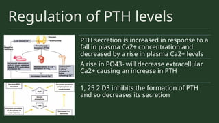 Regulation of PTH levels
PTH secretion is increased in response to a
fall in plasma Ca2+ concentration and
decreased by a rise in plasma Ca2+ levels
A rise in PO43- will decrease extracellular
Ca2+ causing an increase in PTH
1, 25 2 D3 inhibits the formation of PTH
and so decreases its secretion
 