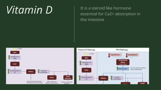 Vitamin D It is a steroid like hormone
essential for Ca2+ absorption in
the intestine
 