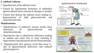ENDOCRINE PHYSIOLOGY FOR MMED 1.1, LECTURE four -August.pptx