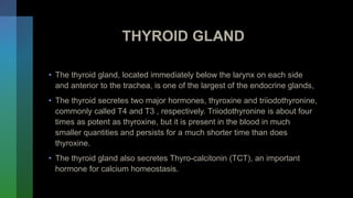 THYROID GLAND
• The thyroid gland, located immediately below the larynx on each side
and anterior to the trachea, is one of the largest of the endocrine glands,
• The thyroid secretes two major hormones, thyroxine and triiodothyronine,
commonly called T4 and T3 , respectively. Triiodothyronine is about four
times as potent as thyroxine, but it is present in the blood in much
smaller quantities and persists for a much shorter time than does
thyroxine.
• The thyroid gland also secretes Thyro-calcitonin (TCT), an important
hormone for calcium homeostasis.
 