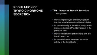 REGULATION OF
THYROID HORMONE
SECRETION
• TSH : Increases Thyroid Secretion
Through c AMP
• Increased proteolysis of the thyroglobulin
that has already been stored in the follicles
• Increased activity of the iodide pump, which
increases the rate of “iodide trapping” in the
glandular cells
• Increased iodination of tyrosine to form the
thyroid hormones
• Increased size and increased secretory
activity of the thyroid cells
 