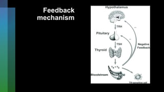 Feedback
mechanism
 