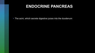 ENDOCRINE PANCREAS
• The acini, which secrete digestive juices into the duodenum
 