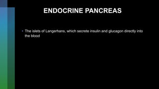ENDOCRINE PANCREAS
• The islets of Langerhans, which secrete insulin and glucagon directly into
the blood
 