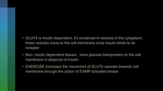 • GLUT4 is insulin dependent, it’s contained in vesicles in the cytoplasm,
these vesicles move to the cell membrane once Insulin binds to its
receptor
• Non- insulin dependent tissues , have glucose transporters on the cell
membrane in absence of Insulin
• EXERCISE increases the movement of GLUT4 vesicles towards cell
membrane through the action of 5’AMP activated kinase
 