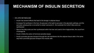 MECHANISM OF INSULIN SECRETION
• ON LIPID METABOLISM
• Insulin has several effects that lead to fat storage in adipose tissue
• Increases Fat synthesis in the liver, the glucose is first split to pyruvate in the glycolytic pathway, and the
pyruvate subsequently is converted to acetyl coenzyme A , the substrate from which fatty acids are
synthesized
• Most of the fatty acids are then synthesized within the liver and used to form triglycerides, the usual form
of storage fat
• Insulin inhibits the action of hormone-sensitive lipase
• Insulin promotes glucose transport through the cell membrane into the adipose tissue cells in the same
way that it promotes glucose transport into muscle cells
 