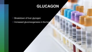 GLUCAGON
• Breakdown of liver glycogen
• Increased gluconeogenesis in the liver
 