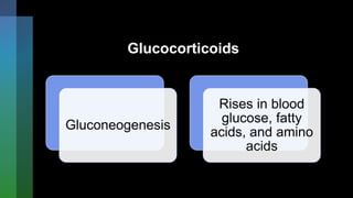 Glucocorticoids
Gluconeogenesis
Rises in blood
glucose, fatty
acids, and amino
acids
 