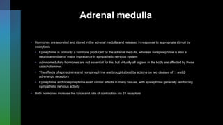 Adrenal medulla
• Hormones are secreted and stored in the adrenal medulla and released in response to appropriate stimuli by
exocytosis
• Epinephrine is primarily a hormone produced by the adrenal medulla, whereas norepinephrine is also a
neurotransmitter of major importance in sympathetic nervous system
• Adrenomedullary hormones are not essential for life, but virtually all organs in the body are affected by these
catecholamines
• The effects of epinephrine and norepinephrine are brought about by actions on two classes of and β
adrenergic receptors
• Epinephrine and norepinephrine exert similar effects in many tissues, with epinephrine generally reinforcing
sympathetic nervous activity
• Both hormones increase the force and rate of contraction via β1 receptors
 