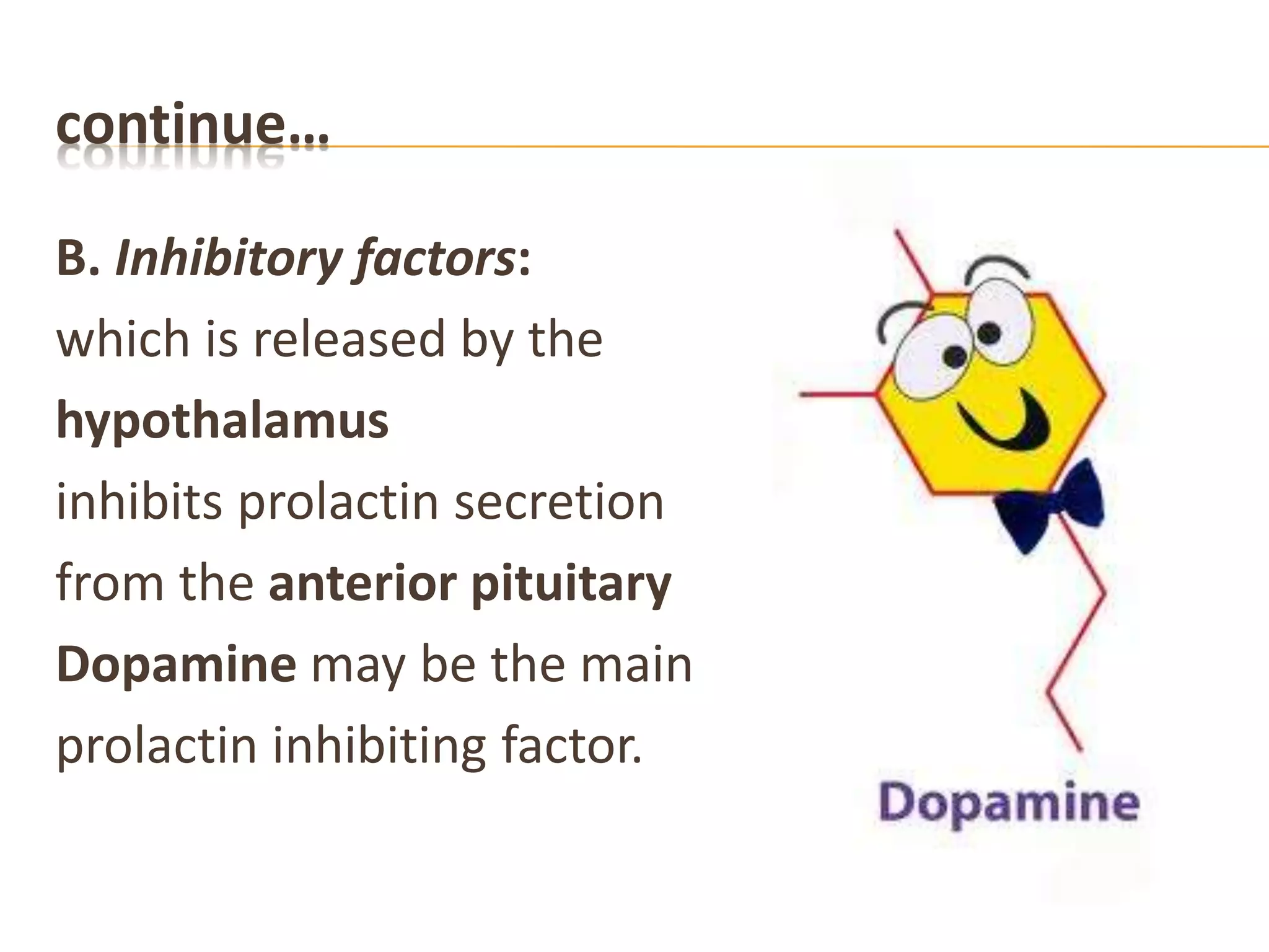 continue…
B. Inhibitory factors:
which is released by the
hypothalamus
inhibits prolactin secretion
from the anterior pituitary
Dopamine may be the main
prolactin inhibiting factor.
 