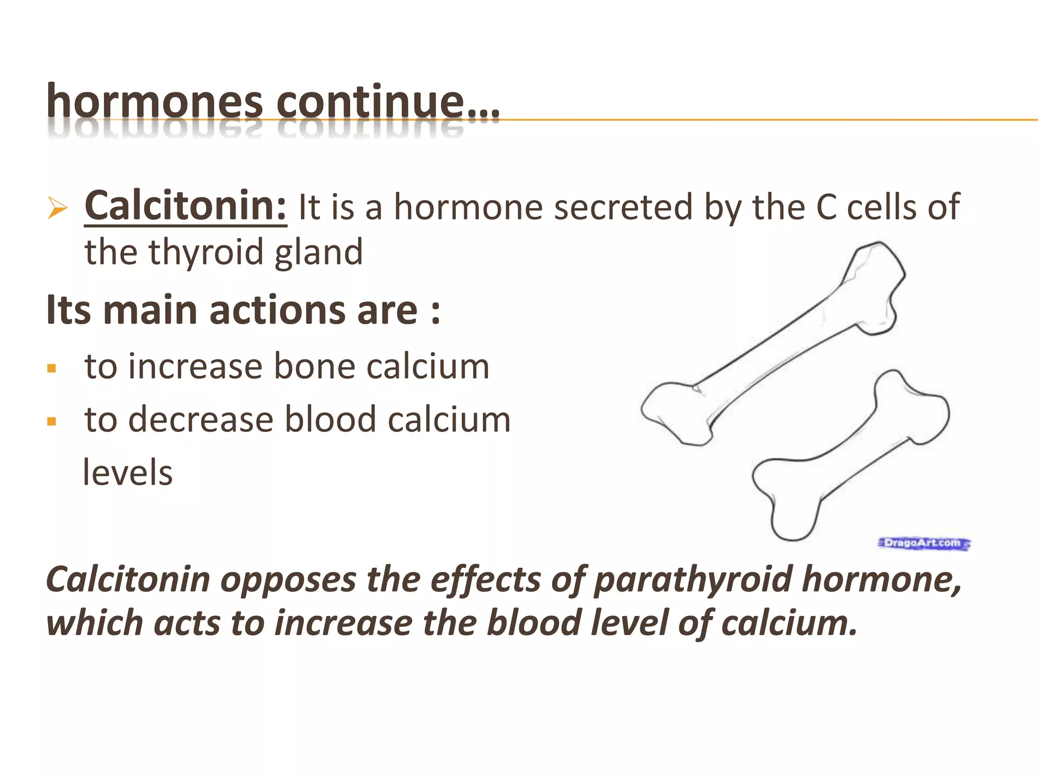 hormones continue…
 Calcitonin: It is a hormone secreted by the C cells of
the thyroid gland
Its main actions are :
 to increase bone calcium
 to decrease blood calcium
levels
Calcitonin opposes the effects of parathyroid hormone,
which acts to increase the blood level of calcium.
 