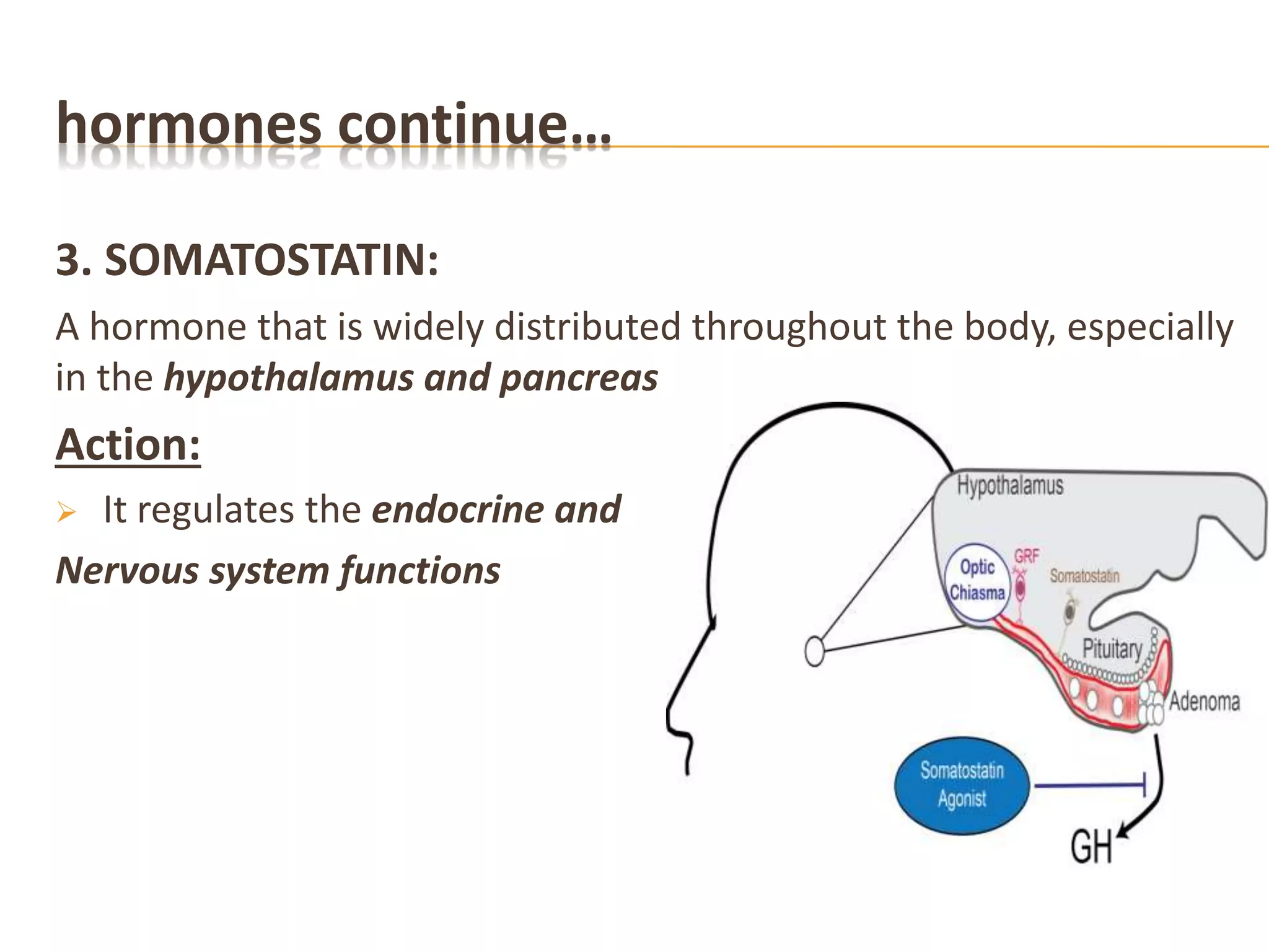 hormones continue…
3. SOMATOSTATIN:
A hormone that is widely distributed throughout the body, especially
in the hypothalamus and pancreas
Action:
 It regulates the endocrine and
Nervous system functions
 