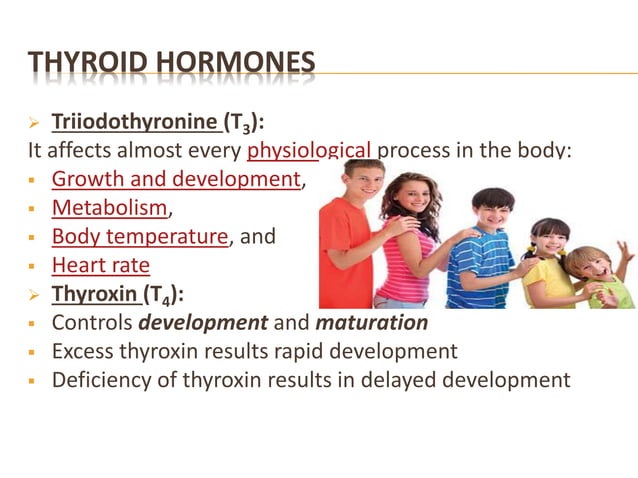 endocrine-ppt