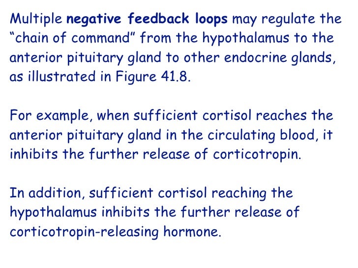 Endocrine Ppt Exam 3