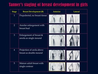 Endocrine Regulation In