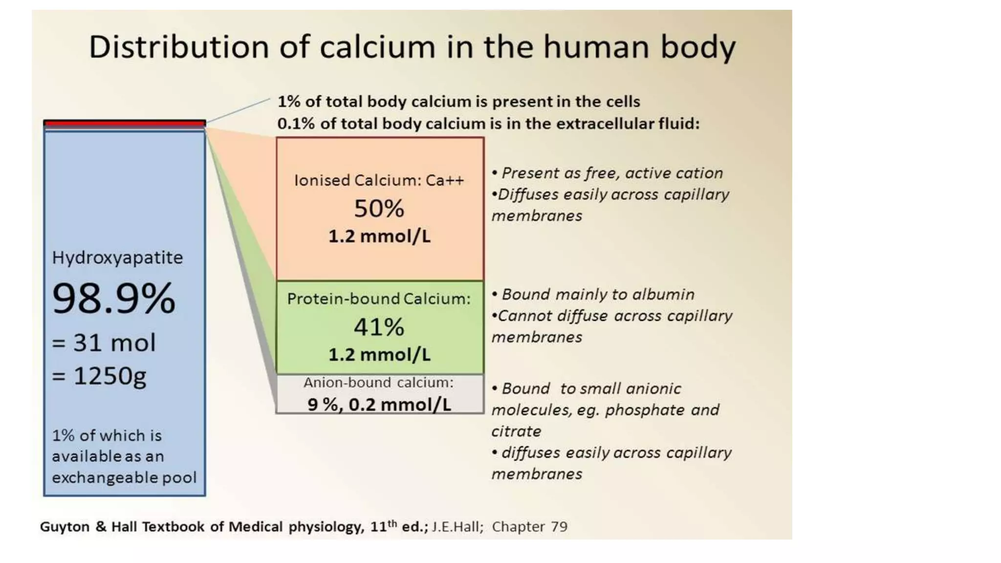Endocrine regulation of calcium metabolism | PPTX