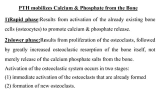 Endocrine regulation of calcium metabolism | PPTX