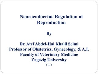 Neuroendocrine Regulation of
Reproduction
By
Dr. Atef Abdel-Hai Khalil Selmi
Professor of Obstetrics, Gynecology, & A.I.
Faculty of Veterinary Medicine
Zagazig University
( 1 )
 