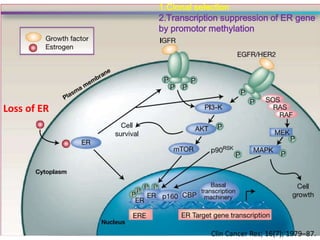 Endocrine resistance in breast cancer | PPTX