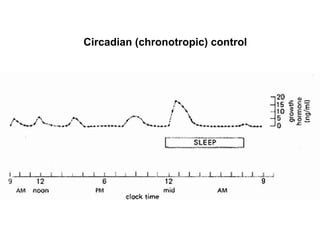 endocrine rhythms.ppt with simple but detailed explanation | PPTX