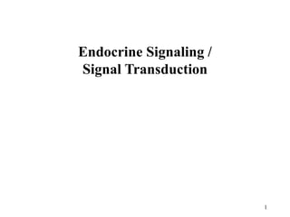 1
Endocrine Signaling /
Signal Transduction
 