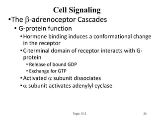 Endocrine Signaling.ppt