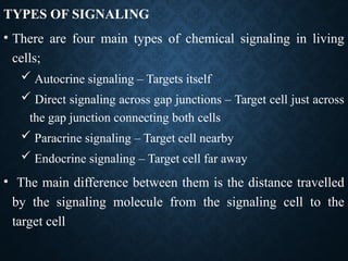 Endocrine Signaling pathway physiology - Ppt.pptx