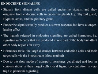Endocrine Signal Endocrine Signaling pathway physiology - Ppt.pptx