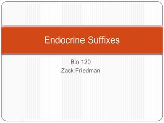 Endocrine Suffixes

      Bio 120
   Zack Friedman
 