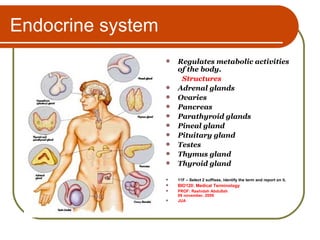 Endocrine system ,[object Object],[object Object],[object Object],[object Object],[object Object],[object Object],[object Object],[object Object],[object Object],[object Object],[object Object],[object Object],[object Object],[object Object],[object Object]