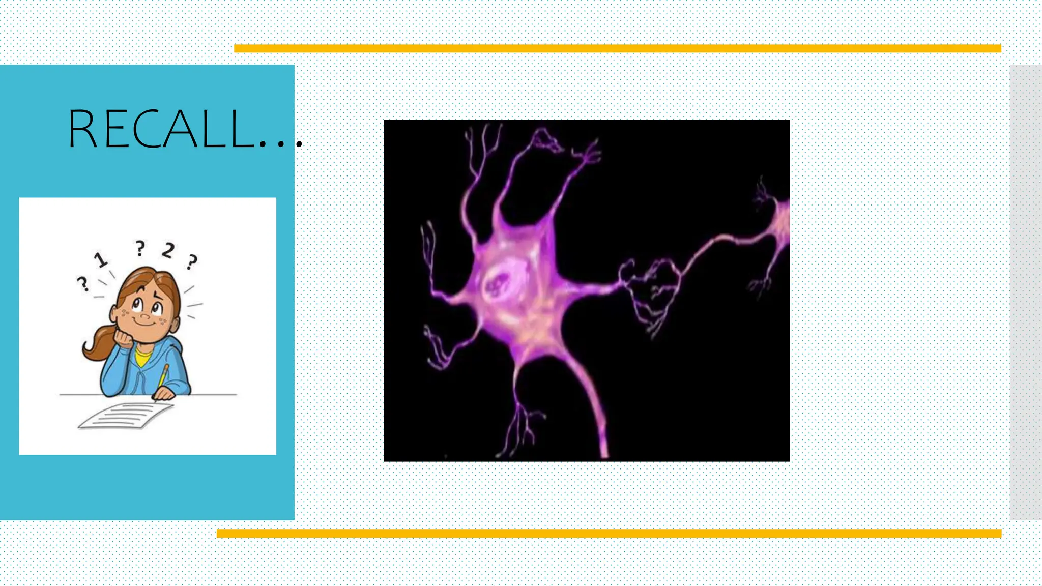 RECALL…
 
