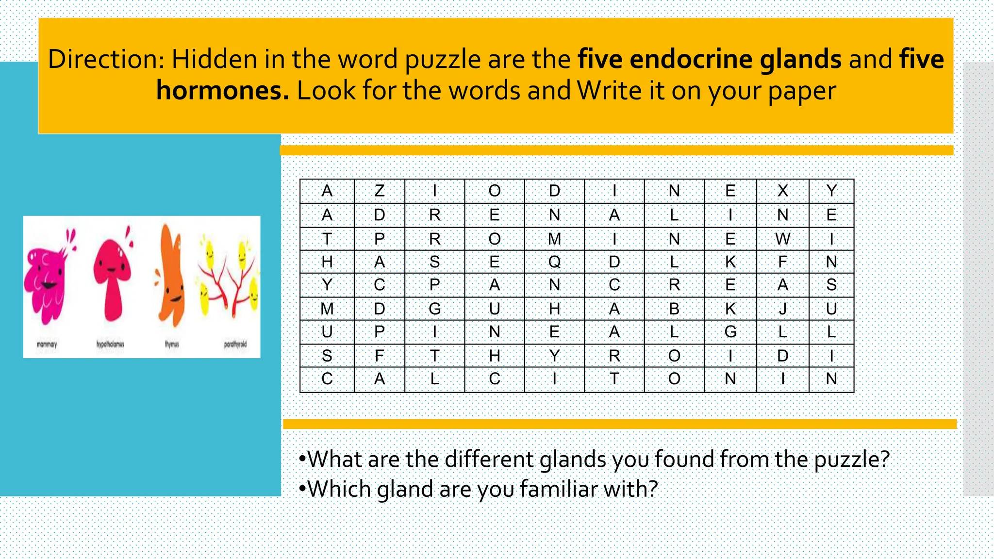 Direction: Hidden in the word puzzle are the five endocrine glands and five
hormones. Look for the words andWrite it on your paper
A Z I O D I N E X Y
A D R E N A L I N E
T P R O M I N E W I
H A S E Q D L K F N
Y C P A N C R E A S
M D G U H A B K J U
U P I N E A L G L L
S F T H Y R O I D I
C A L C I T O N I N
•What are the different glands you found from the puzzle?
•Which gland are you familiar with?
 