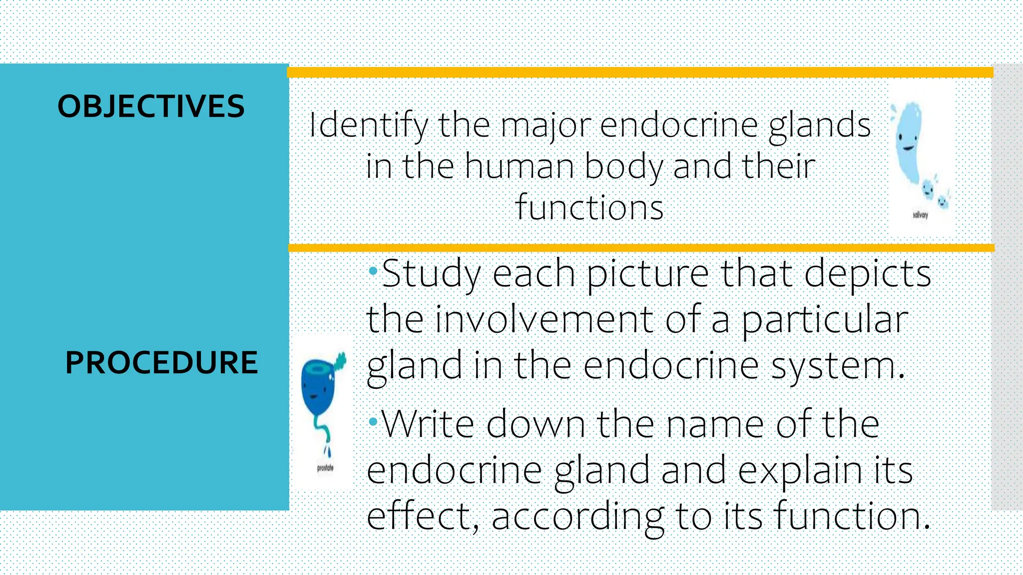 Identify the major endocrine glands
in the human body and their
functions
Study each picture that depicts
the involvement of a particular
gland in the endocrine system.
Write down the name of the
endocrine gland and explain its
effect, according to its function.
OBJECTIVES
PROCEDURE
 
