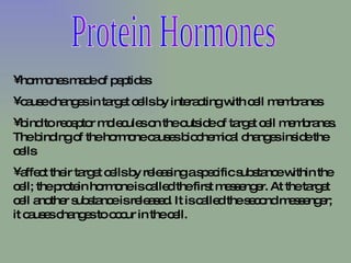 Protein Hormones hormones made of peptides cause changes in target cells by interacting with cell membranes bind to receptor molecules on the outside of target cell membranes. The binding of the hormone causes biochemical changes inside the cells affect their target cells by releasing a specific substance within the cell; the protein hormone is called the first messenger. At the target cell another substance is released. It is called the second messenger; it causes changes to occur in the cell. 