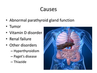CausesAbnormal parathyroid gland functionTumorVitamin D disorderRenal failureOther disordersHyperthyroidismPaget's diseaseThiazide
