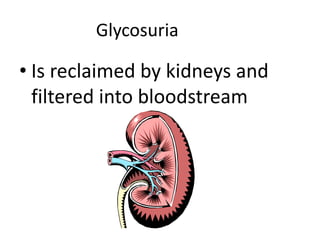Glycosuria		Is reclaimed by kidneys and filtered into bloodstream