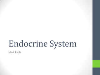 Endocrine System Mark Paola 