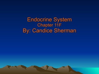 Endocrine System Chapter 11F By: Candice Sherman 