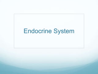 Endocrine System 