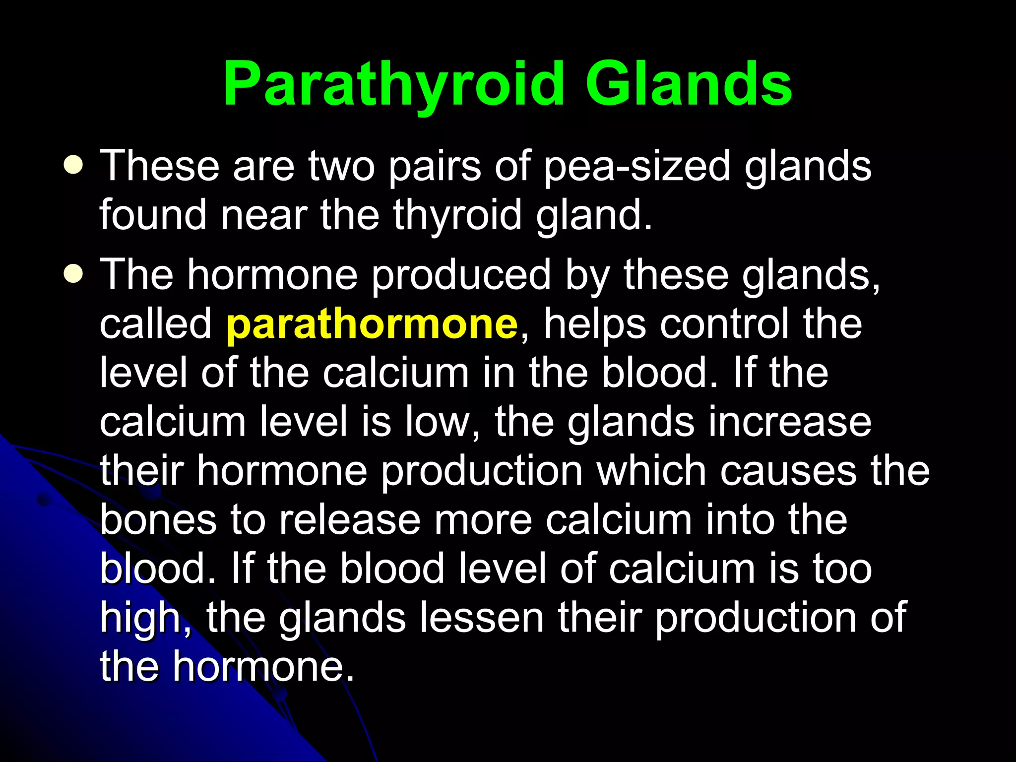 Parathyroid Glands These are two pairs of pea-sized glands found near the thyroid gland.  The hormone produced by these glands, called  parathormone , helps control the level of the calcium in the blood. If the calcium level is low, the glands increase their hormone production which causes the bones to release more calcium into the blood. If the blood level of calcium is too high, the glands lessen their production of the hormone.  
