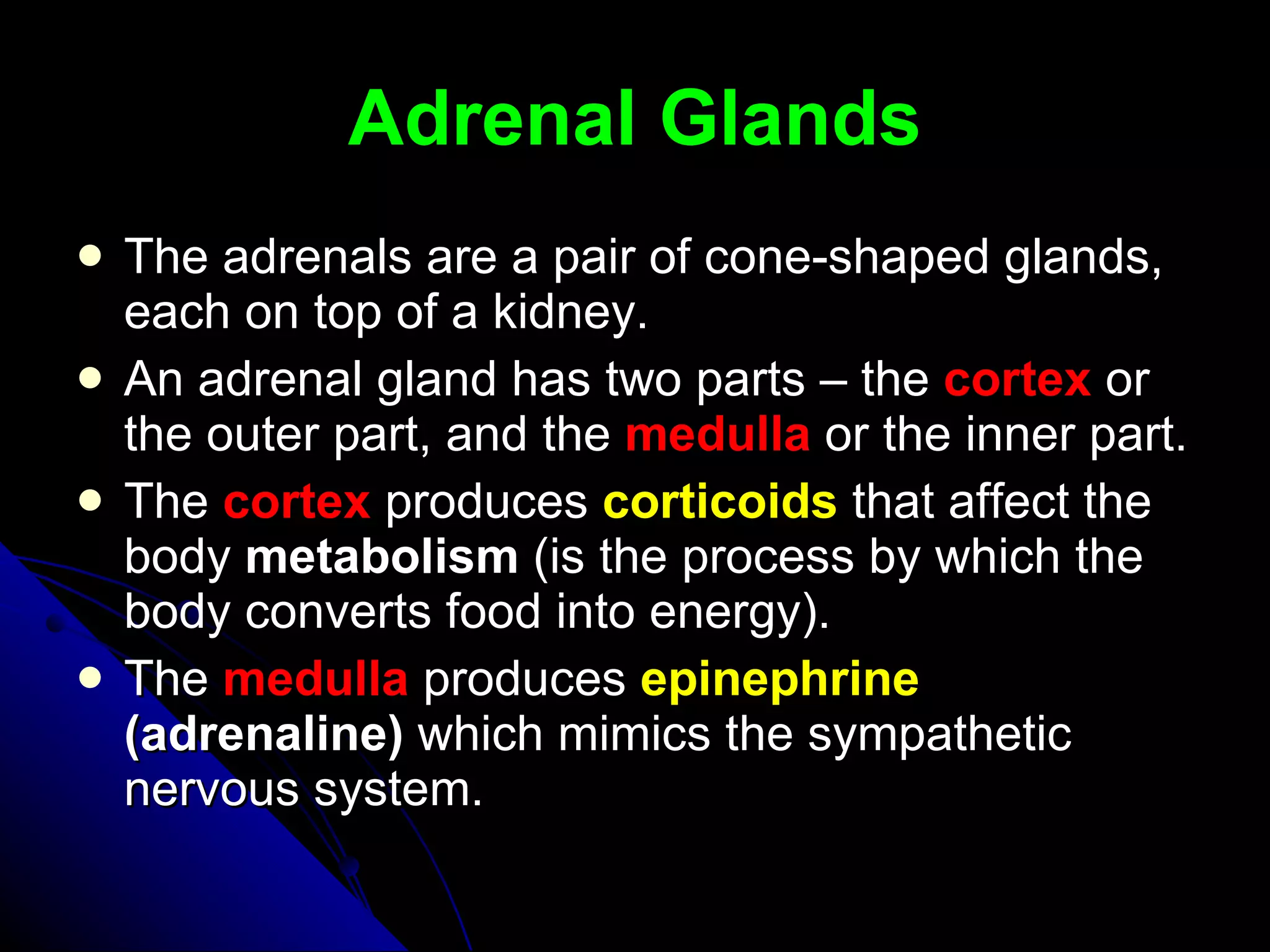Adrenal Glands The adrenals are a pair of cone-shaped glands, each on top of a kidney. An adrenal gland has two parts – the  cortex  or the outer part, and the  medulla   or the inner part. The  cortex   produces  corticoids  that affect the body  metabolism  (is the process by which the body converts food into energy). The  medulla  produces  epinephrine  (adrenaline)  which mimics the sympathetic nervous system. 