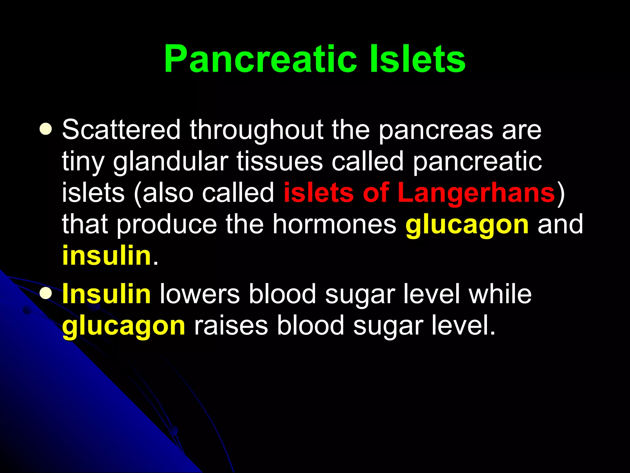 Pancreatic Islets Scattered throughout the pancreas are tiny glandular tissues called pancreatic islets (also called  islets of Langerhans ) that produce the hormones  glucagon  and  insulin .  Insulin  lowers blood sugar level while  glucagon  raises blood sugar level.  
