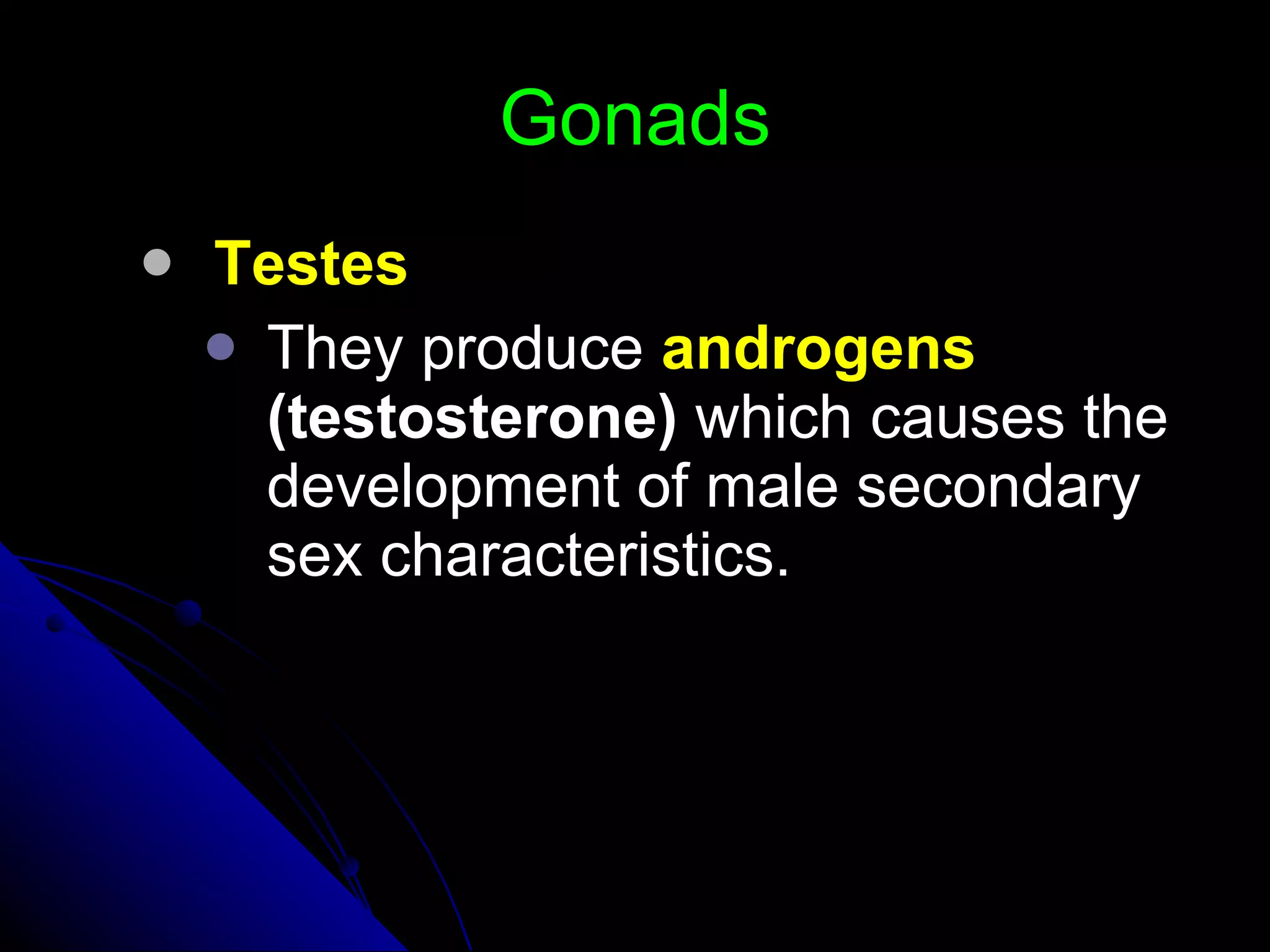 Gonads Testes They produce  androgens  (testosterone)  which causes the development of male secondary sex characteristics. 