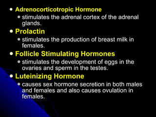 Adrenocorticotropic Hormone   stimulates the adrenal cortex of the adrenal glands.  Prolactin stimulates the production of breast milk in females.  Follicle Stimulating Hormones   stimulates the development of eggs in the ovaries and sperm in the testes.  Luteinizing Hormone   causes sex hormone secretion in both males and females and also causes ovulation in females.  