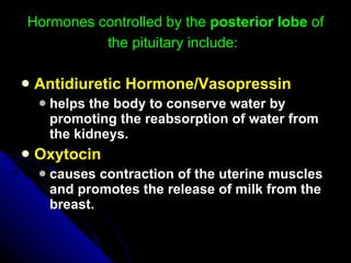 Hormones controlled by the  posterior lobe  of the pituitary include:   Antidiuretic Hormone/Vasopressin  helps the body to conserve water by promoting the reabsorption of water from the kidneys.  Oxytocin  causes contraction of the uterine muscles and promotes the release of milk from the breast.   