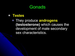 Gonads Testes They produce  androgens  (testosterone)  which causes the development of male secondary sex characteristics. 