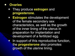 Ovaries They produce  estrogen  and  progesterone .  Estrogen  stimulates the development of the female secondary sex characteristics, as well as the growth of the inner lining of the uterus in preparation for implantation and development of a fertilized egg. In support of this reproductive function, the  progesterone  also promotes growth of the uterine lining.  