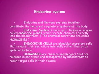 Endocrine system