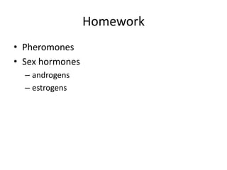 Homework
• Pheromones
• Sex hormones
  – androgens
  – estrogens
 